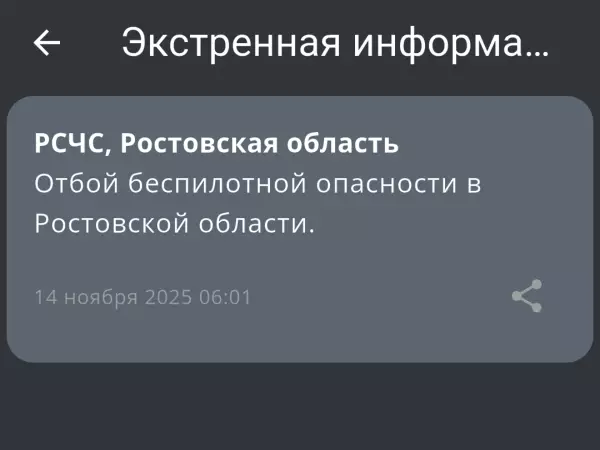 Фото к материалу: В Ростовской области 14 ноября объявили отбой беспилотной опасности