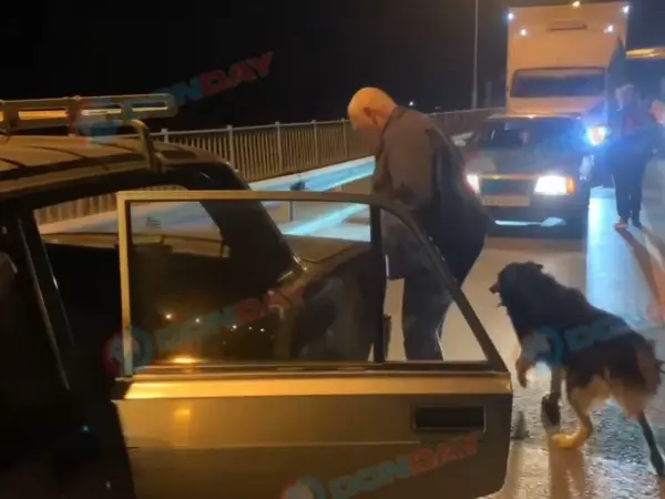 Фото к материалу: В Ростовской области мужчина привязал собаку к бамперу авто и тащил по дороге
