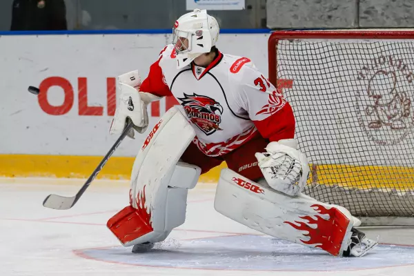 Фото к материалу: ХК «Ростов» с треском проиграл «Олимпии» на выездном матче