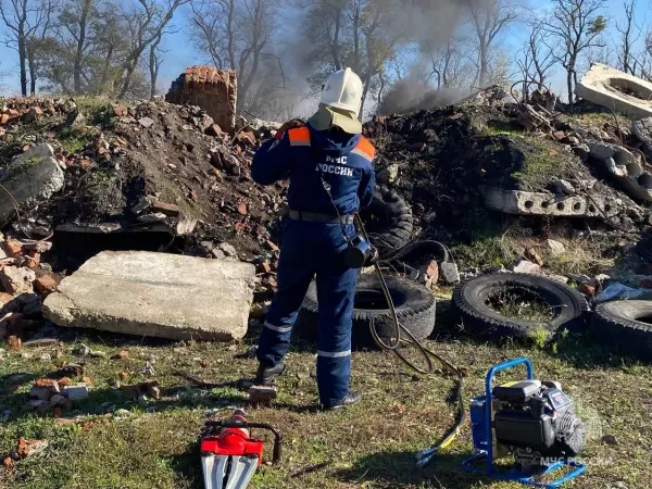 Фото к материалу: За неделю в Ростовской области потушили свыше 80 пожаров
