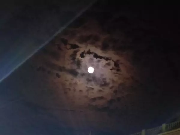 Фото к материалу: Восемь беспилотников сбили в Ростовской области ночью 5 ноября