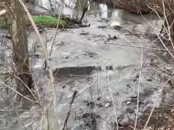 Фото к материалу: Жители Шахт зафиксировали очередной сброс нечистот в реку Грушевку