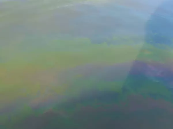 Фото к материалу: Семикаракорский затон покрылся мазутом после прохода баржи