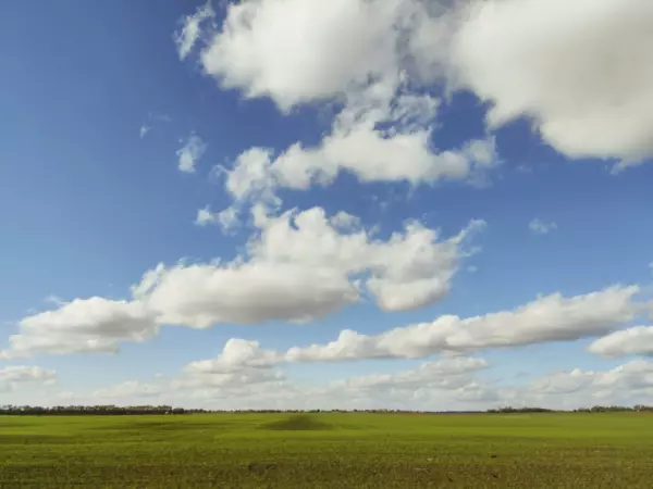 Фото к материалу: В Ростовской области четырем районам угрожает почвенная засуха