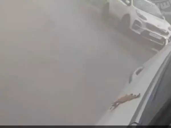 Фото к материалу: В Ростове на Таганрогской забил гейзер