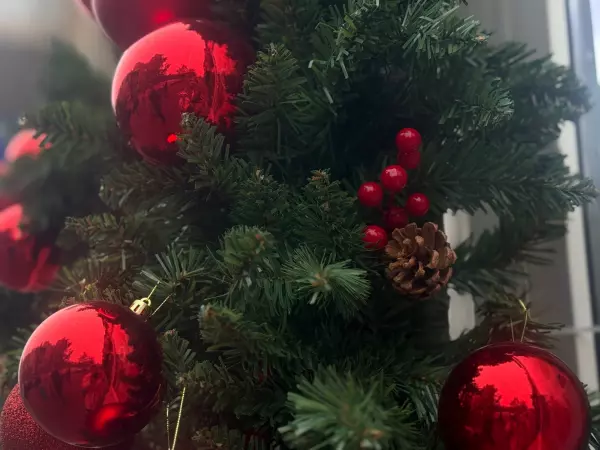 Фото к материалу: Новогодние украшения для елки обойдутся ростовчанам от пяти тысяч рублей