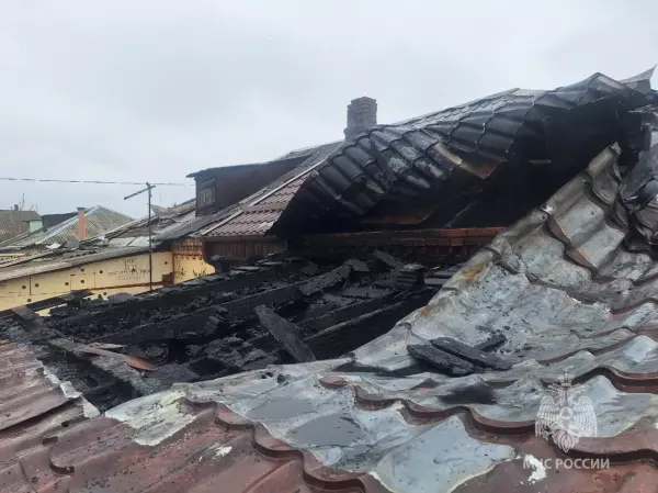 Фото к материалу: В Ростовской области огонь уничтожил дом на троих хозяев