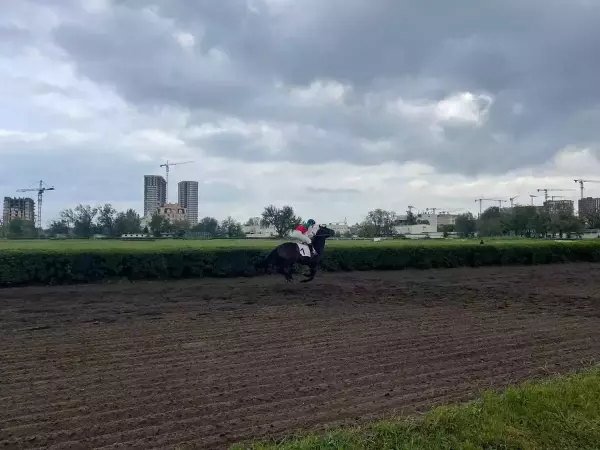 Фото к материалу: Прокуратура выявила нарушения в отказе признать ростовский ипподром ОКН