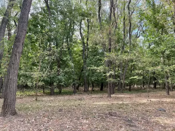 Фото к материалу: В лесу Багаевского района незаконно сбрасывали отходы птицефабрики