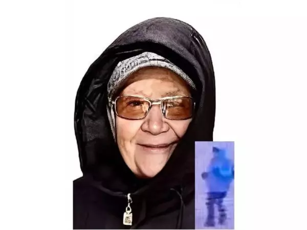 Фото к материалу: В Ростовской области к поиску 91-летней бабушки привлекли волонтеров из 5 регионов