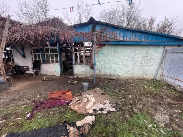 Фото к материалу: В Ростовской области мужчина получил травму позвоночника, пытаясь потушить сарай соседа