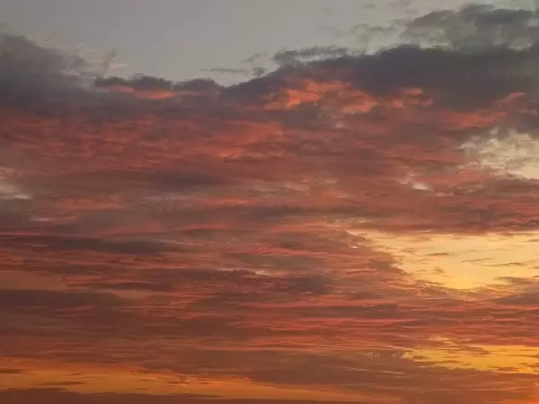 Фото к материалу: 16 беспилотников сбили над Ростовской областью