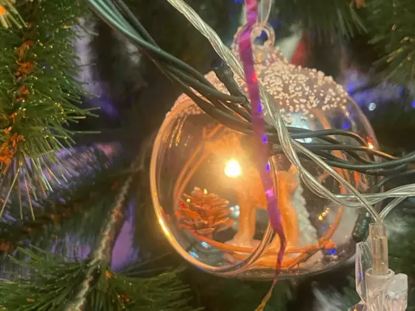 Фото к материалу: Юрист из Ростовской области рассказала о штрафах за установку новогодней елки во дворе