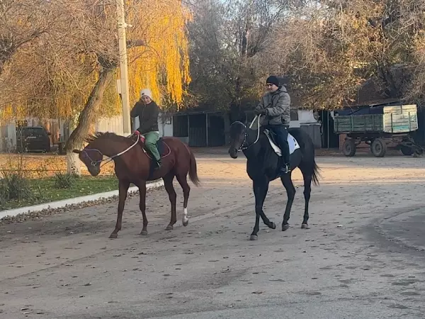 Фото к материалу: Конники отказались добровольно покидать ростовский ипподром