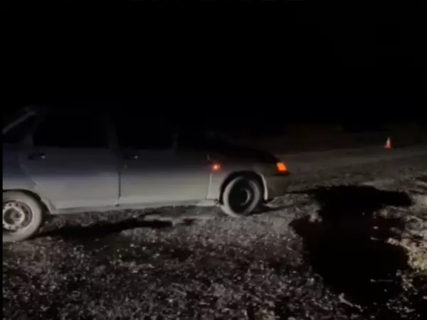 Фото к материалу: Под Таганрогом «ВАЗ» сбил насмерть 72-летнего дедушку