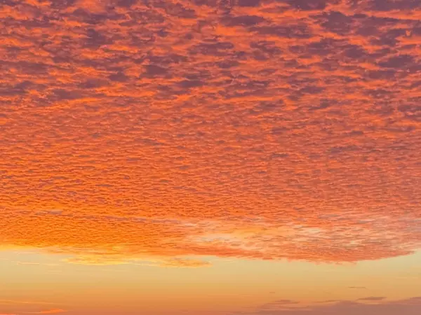 Фото к материалу: Четыре беспилотника уничтожили за три часа в небе над Ростовской областью 1 ноября