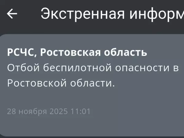 Фото к материалу: В Ростовской области спустя два часа объявили отбой беспилотной опасности