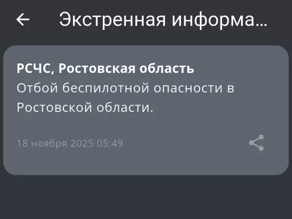 Фото к материалу: В Ростовской области 18 ноября объявили отбой беспилотной опасности