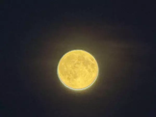 Фото к материалу: Жители Ростовской области поделились яркими кадрами «Бобровой Луны»