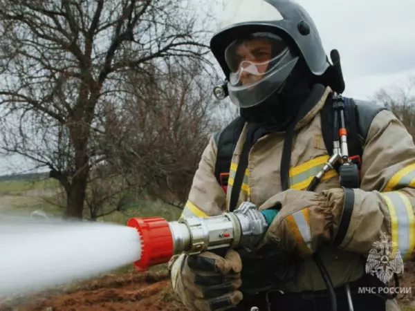 Фото к материалу: За сутки в Ростовской области потушили 17 пожаров