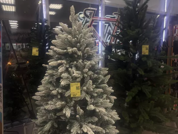 Фото к материалу: В ноябре в Ростове начали продавать новогодние елки