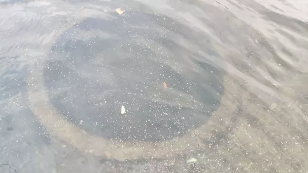 Фото к материалу: В реке Ростовской области рыбаки случайно нашли дот времен войны