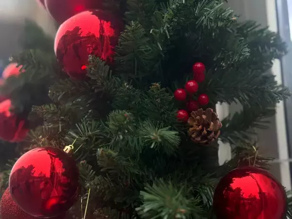 Жители Ростова потратят около 5 тысяч на новогодние украшения