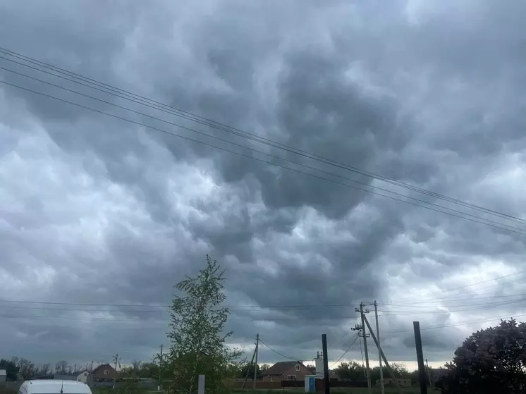 Авиационная опасность объявлена в Ростовской области днем 25 декабря