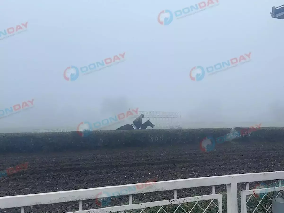 Ростовский ученый предложил перенести ипподром на Зеленый остров