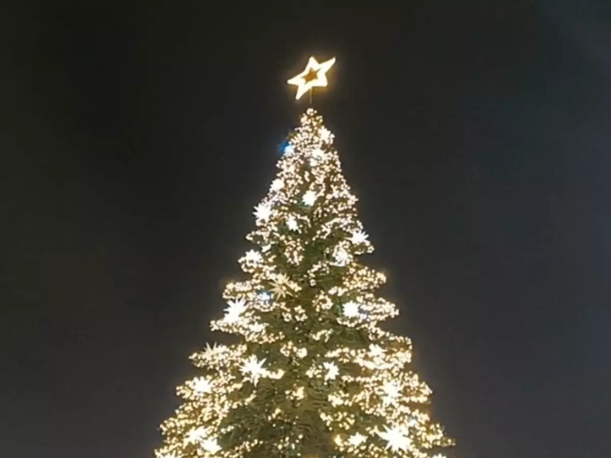 Более пяти тысяч мероприятий пройдет на новогодних каникулах в Ростовской области