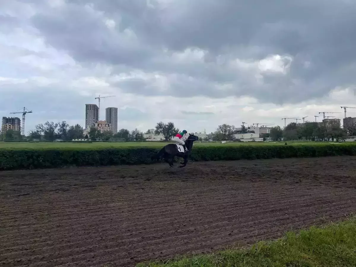 Юрий Слюсарь предложил определить судьбу ростовского ипподрома путем голосования