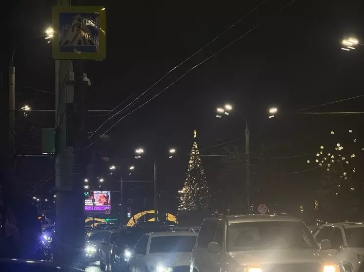 В Ростове отменили торжественное открытие главной городской елки