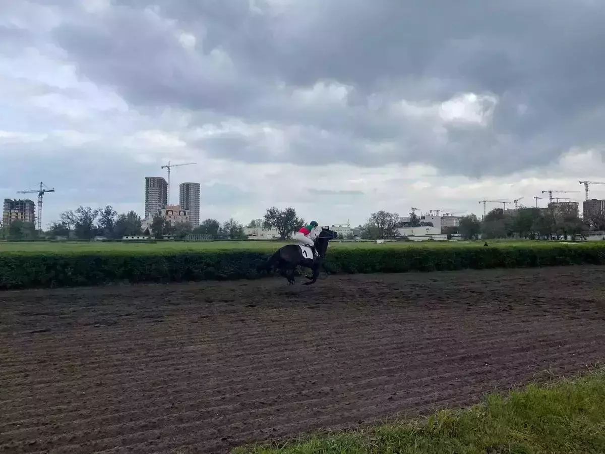 Владелец ростовского ипподрома выдвинул невыполнимые требования для содержания лошадей