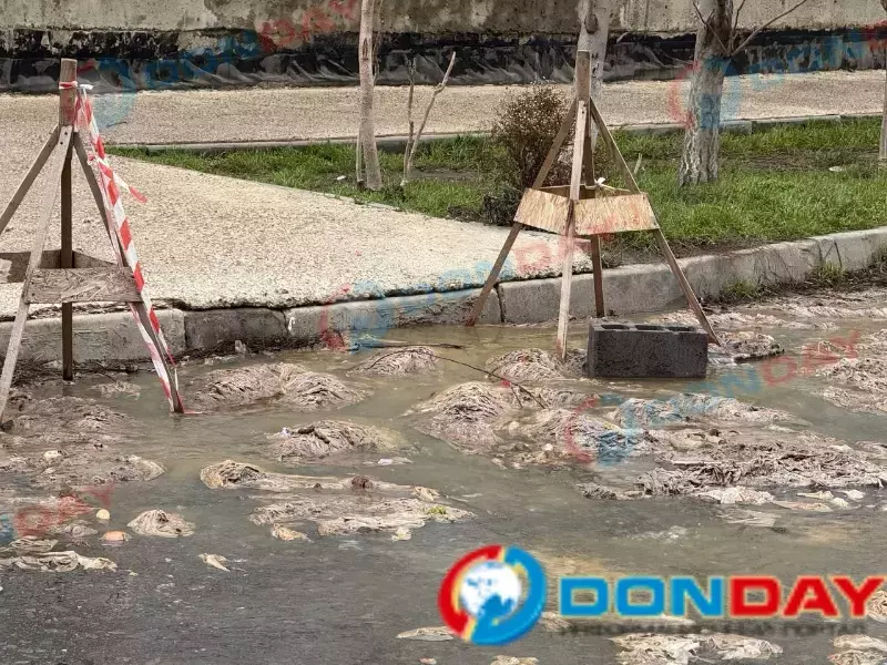 Фекальные паводки на улице Заводской в Ростове пообещали устранить к 24 декабря