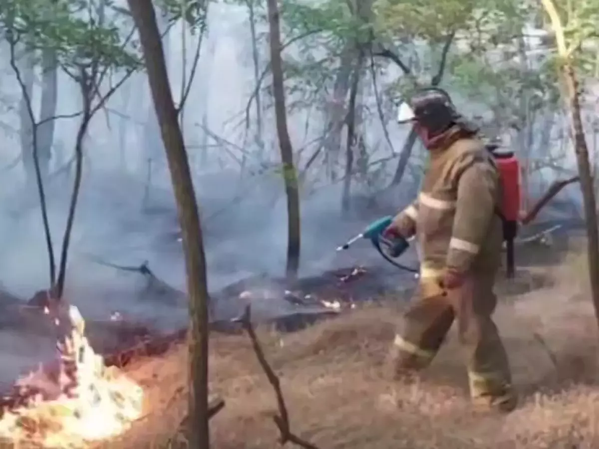 Ущерб от ландшафтных пожаров в Ростовской области составил более 20 млн рублей