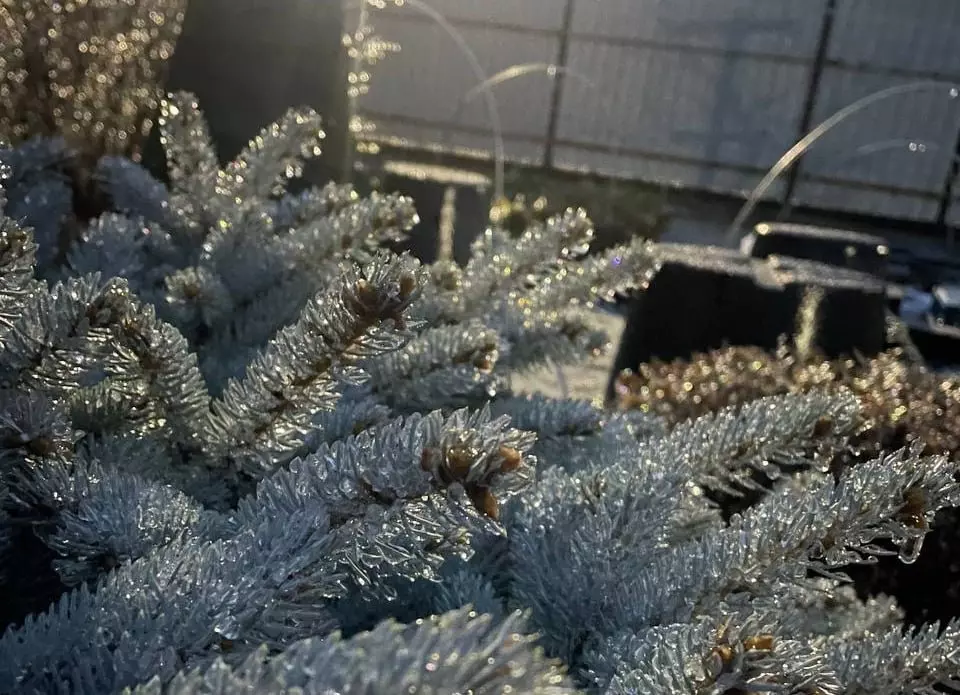 Режим повышенной готовности ввели в Таганроге из-за предстоящих новогодних праздников