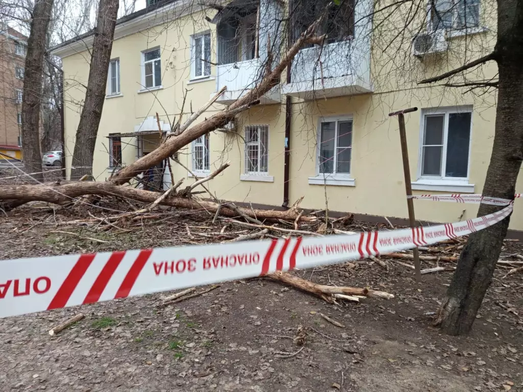 В Ростове ремонт фасада дома, поврежденного от упавшего дерево, проведут за счет УК