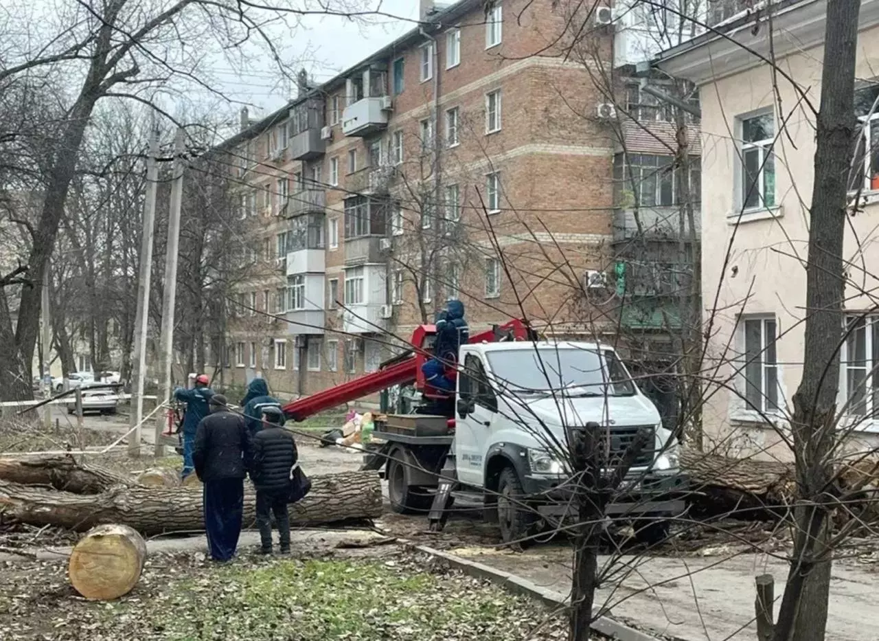В Ростове специалисты устраняют последствий падения дерева на улице Киргизской