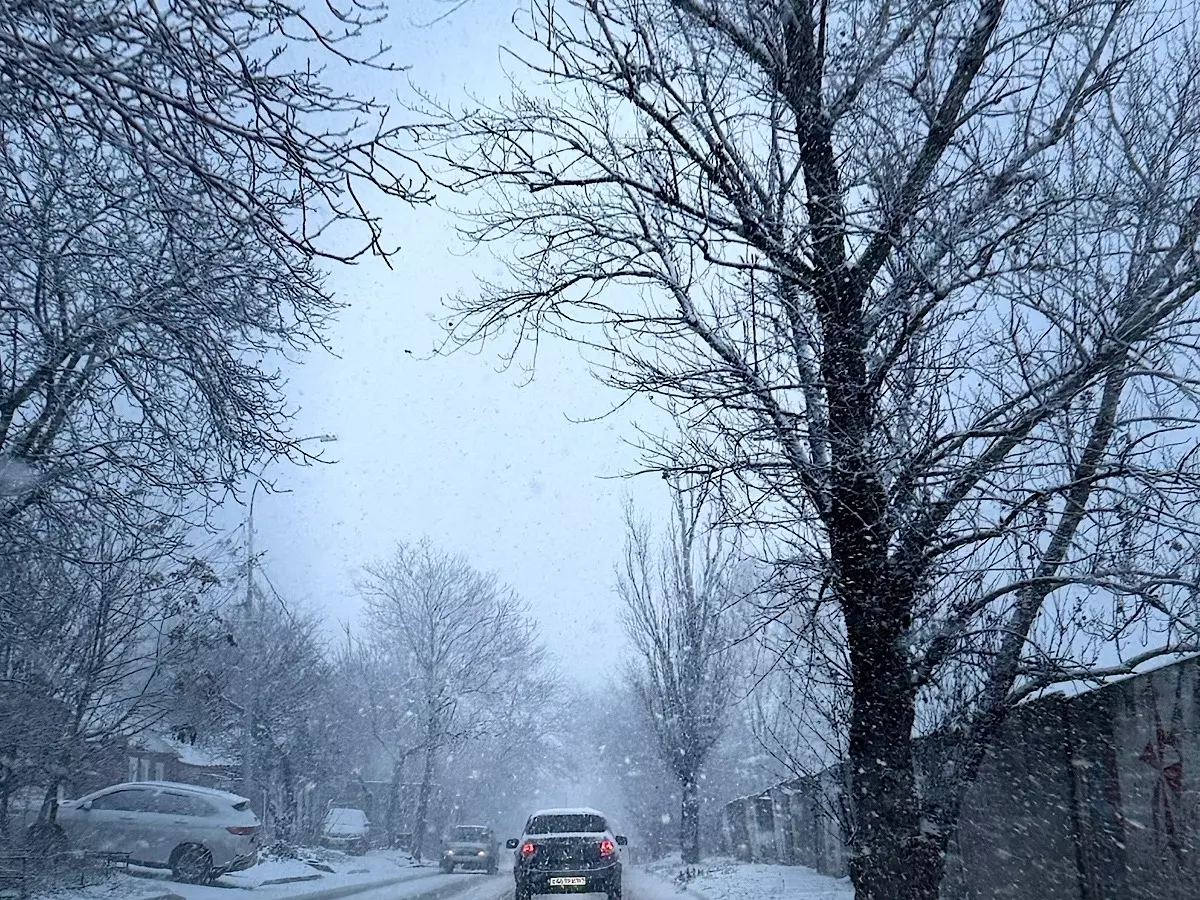 Метель и мороз до -8 градусов: какой будет погода на Новый год в Ростове