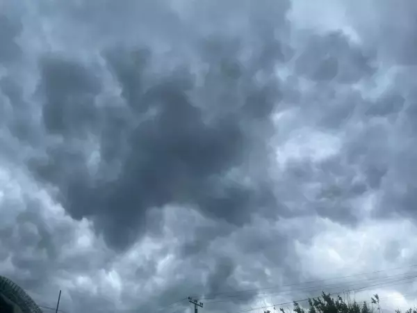 В Ростовской области уничтожили один беспилотник 14 декабря