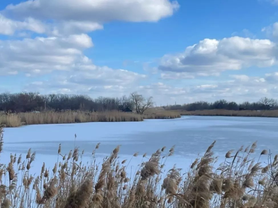 В Ростовской области ввели штрафы за нарушение правил безопасности на водоемах