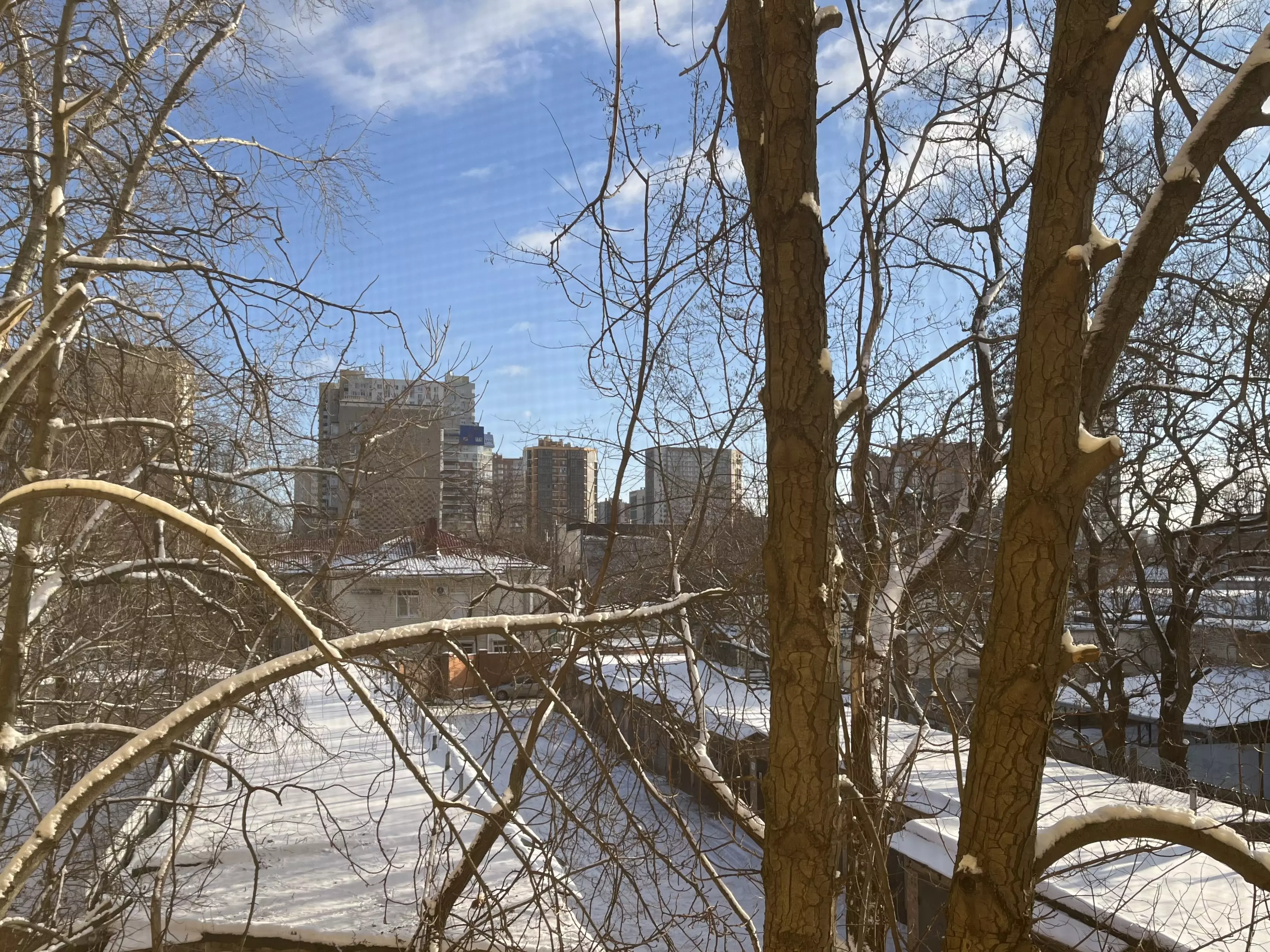 Мороз и солнце: какая погода ждёт ростовчан в канун Нового года