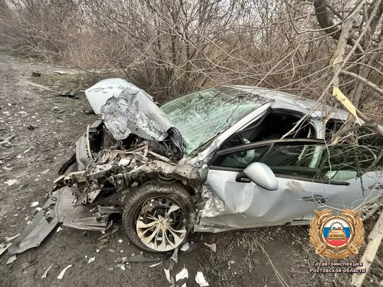 В Ростовской области в жестком ДТП пострадали два человека