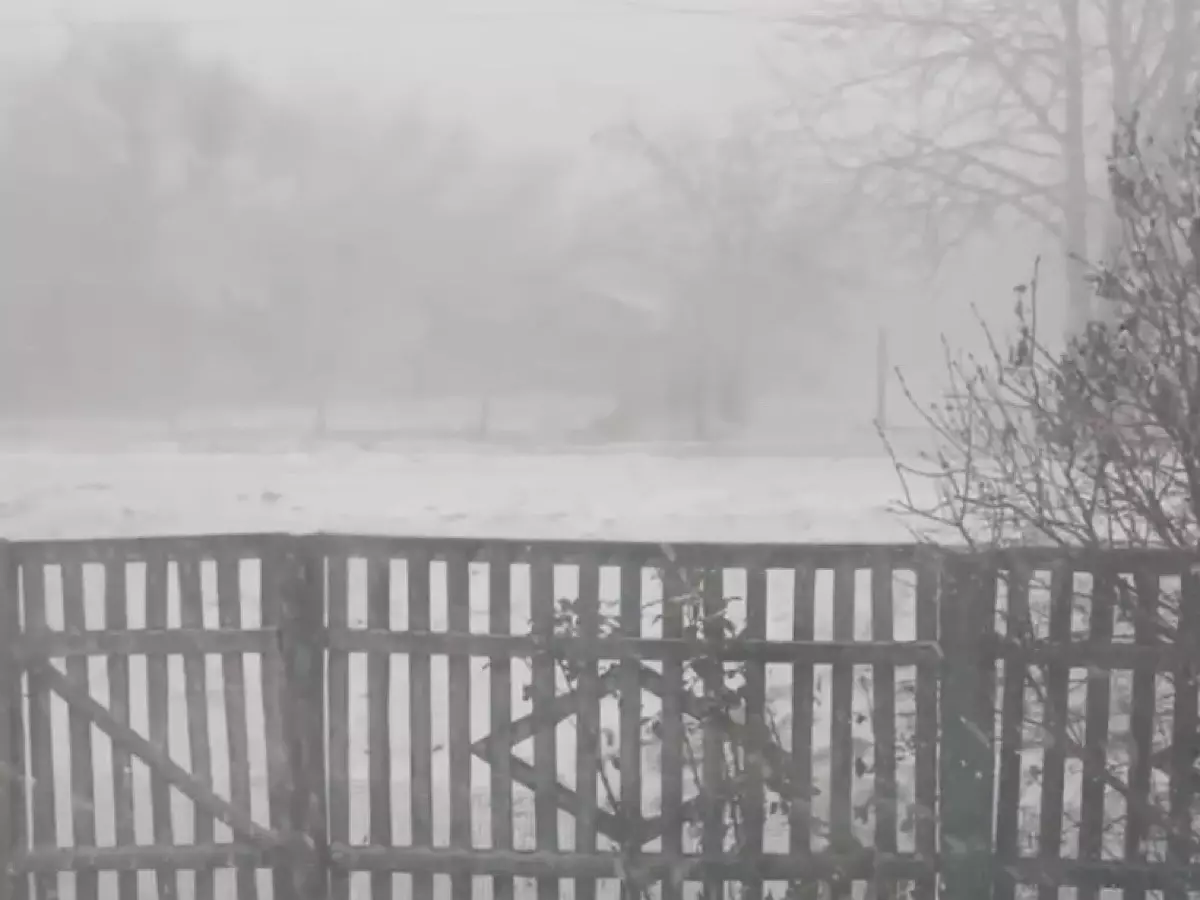 Хутор в Чертсковском районе Ростовской области занесло снегом 13 декабря