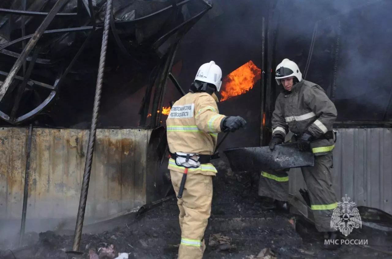 В 2025 году в Ростовской области при пожарах погибли 142 человека