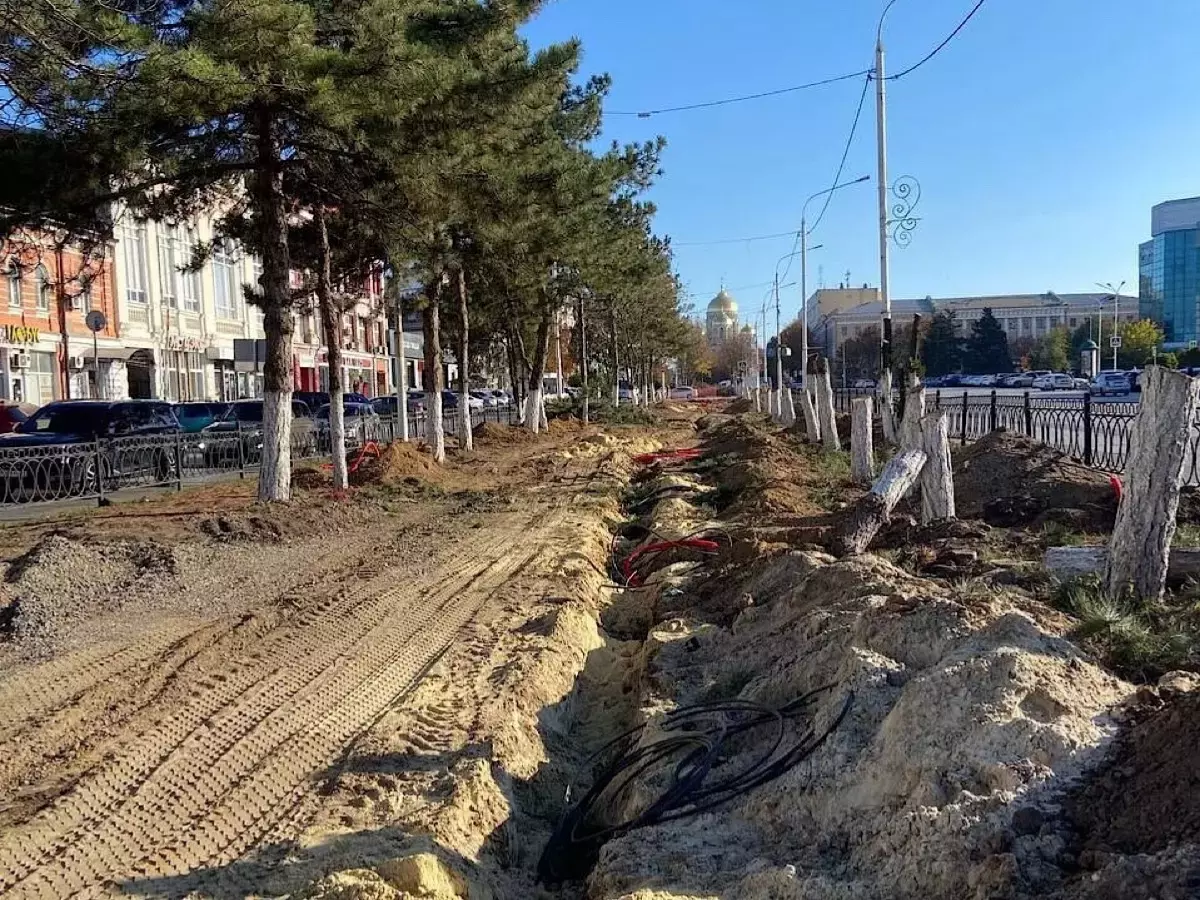 Юрий Слюсарь: В Новочеркасске на месте вырубленных деревьев на Платовском посадят 29 насаждений