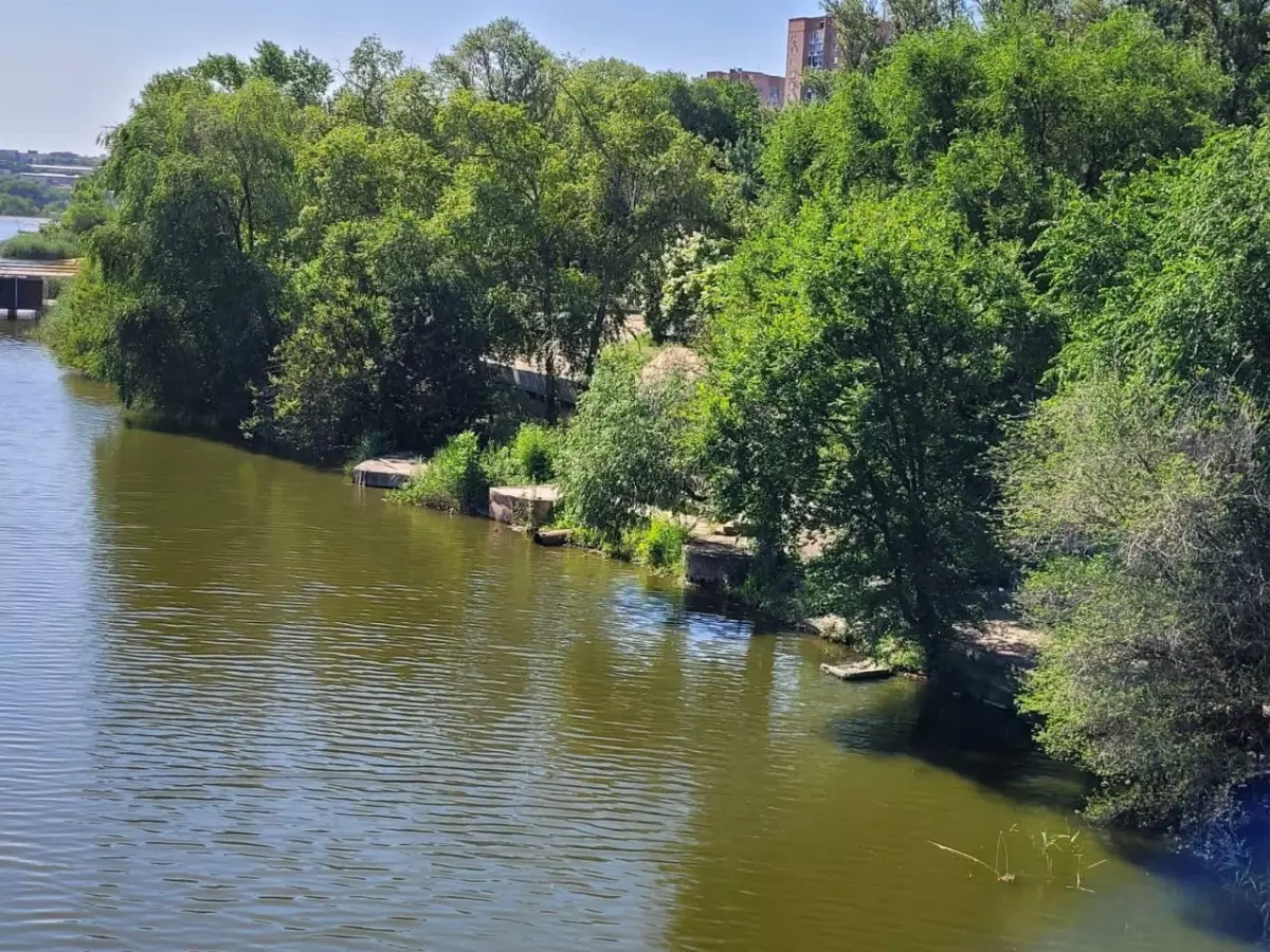 Оазис под угрозой: в парке «Дружба» в Ростове могут не прижиться новые деревья