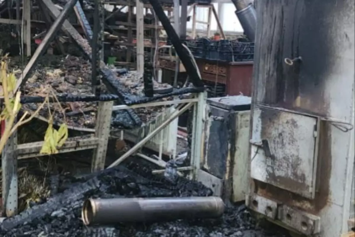 В Батайске 54-летний мужчина умер от ожогов, пытаясь потушить пожар в теплице