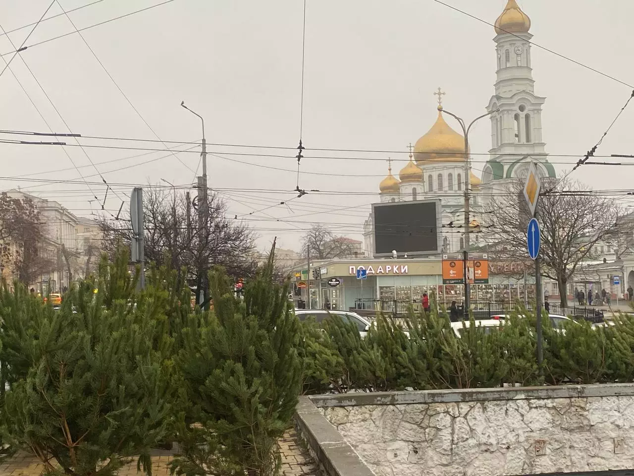 На Центральном рынке в Ростове открылся елочный базар