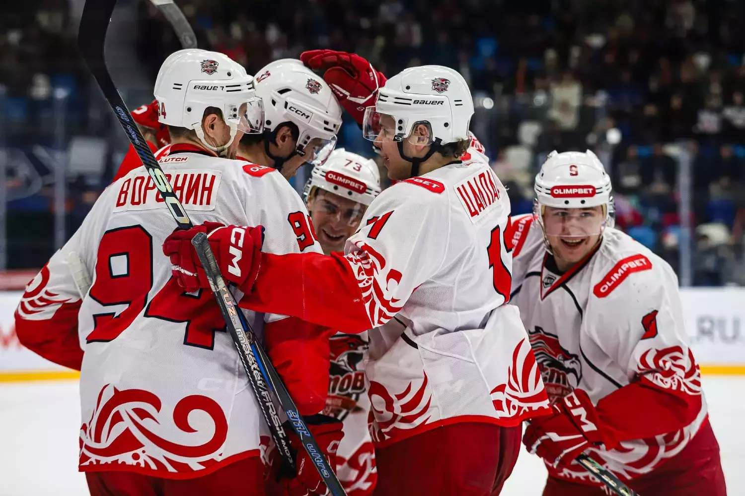 Петиция за сохранение ХК «Ростов» в чемпионате ВХЛ набрала больше тысячи подписей